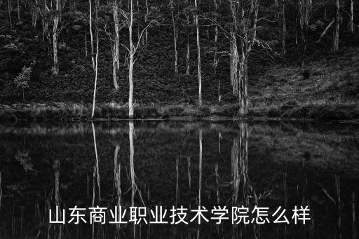 山東商業(yè)職業(yè)技術(shù)學(xué)院怎么樣