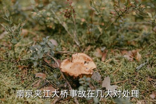 南京事故，南京夾江大橋事故在幾大對處理