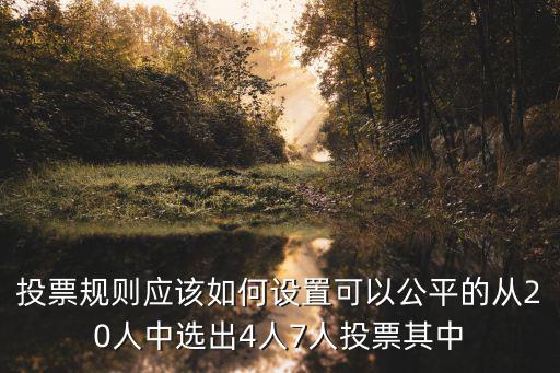 投票規(guī)則應(yīng)該如何設(shè)置可以公平的從20人中選出4人7人投票其中