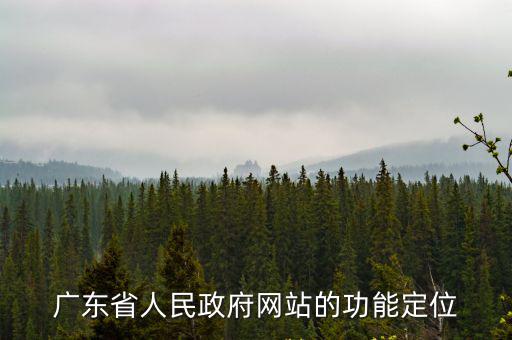廣東省人民政府網，廣東省人民政府網站的功能定位
