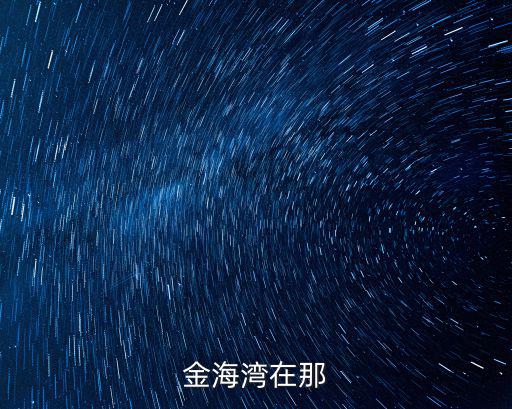 金海灣在那
