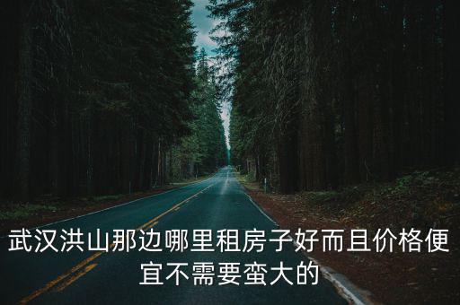 武漢洪山那邊哪里租房子好而且價格便宜不需要蠻大的