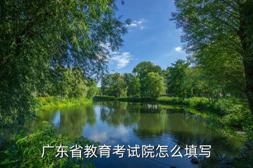 廣東省教育考試院怎么填寫