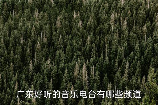 廣東電臺，廣東好聽的音樂電臺有哪些頻道