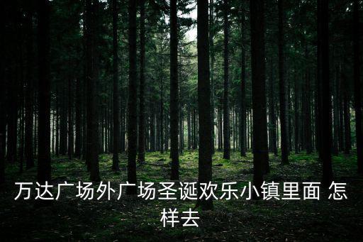 萬(wàn)達(dá)廣場(chǎng)外廣場(chǎng)圣誕歡樂(lè)小鎮(zhèn)里面 怎樣去