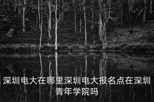 深圳電大在哪里深圳電大報名點在深圳青年學(xué)院嗎
