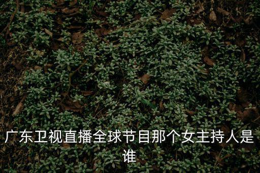廣東衛(wèi)視直播，廣東衛(wèi)視直播全球節(jié)目那個(gè)女主持人是誰