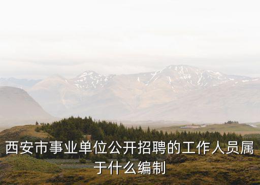 西安事業單位招聘，西安市事業單位公開招聘的工作人員屬于什么編制