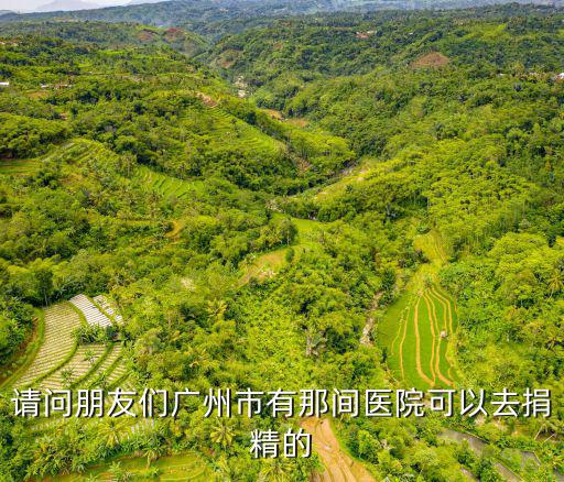 請問朋友們廣州市有那間醫院可以去捐精的