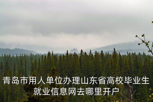 青島市人力資源和社會保障局官網，青島勞動社會保障網的網址是多少
