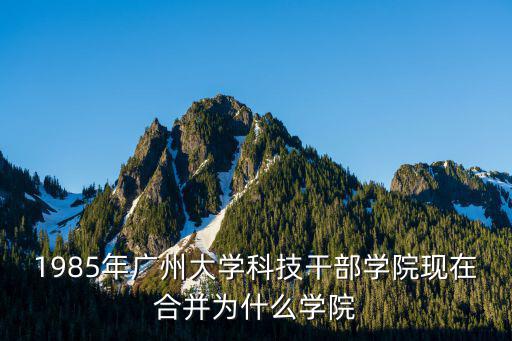 1985年廣州大學科技干部學院現在合并為什么學院