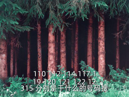 110 112 114 117 119 120 121 122 12315 分別是干什么的號碼搜