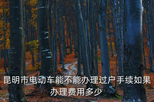 昆明市電動車能不能辦理過戶手續(xù)如果辦理費用多少