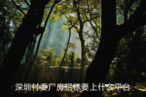 深圳招標，在深圳政府招標網上要怎么投標