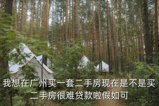 我想在廣州買一套二手房現在是不是買二手房很難貸款啦假如可