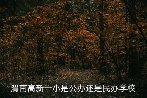渭南高新一小是公辦還是民辦學校