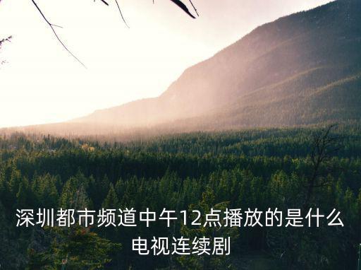 深圳都市頻道中午12點播放的是什么電視連續劇