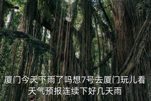 廈門今天下雨了嗎想7號去廈門玩兒看天氣預報連續下好幾天雨