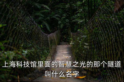 上海科技館里面的智慧之光的那個(gè)隧道叫什么名字