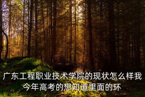 廣東工程職業(yè)技術(shù)學(xué)院的現(xiàn)狀怎么樣我今年高考的想知道里面的環(huán)