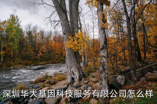 深圳華大基因科技服務(wù)有限公司怎么樣