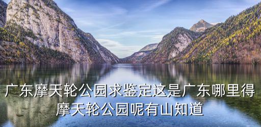 廣東摩天輪公園求鑒定這是廣東哪里得摩天輪公園呢有山知道