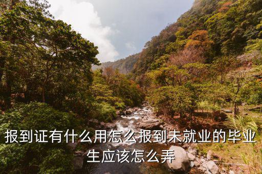 報到證有什么用，畢業生就業證明與報到證啥關系各有什么用處