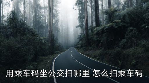 乘車碼怎么使用，乘車碼怎么使用