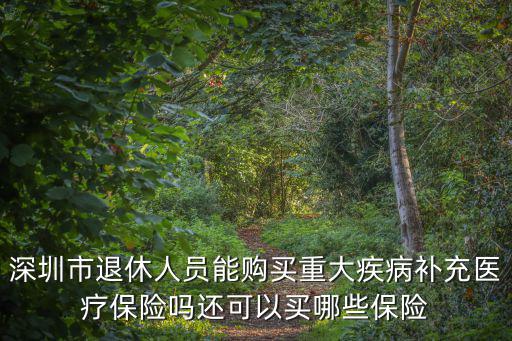 深圳市退休人員能購買重大疾病補充醫療保險嗎還可以買哪些保險
