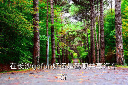 在長(zhǎng)沙gofun好還是駕唄共享汽車(chē)好