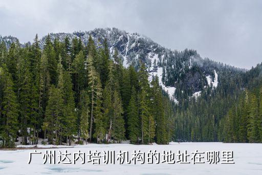 廣州達(dá)內(nèi)培訓(xùn)機構(gòu)的地址在哪里
