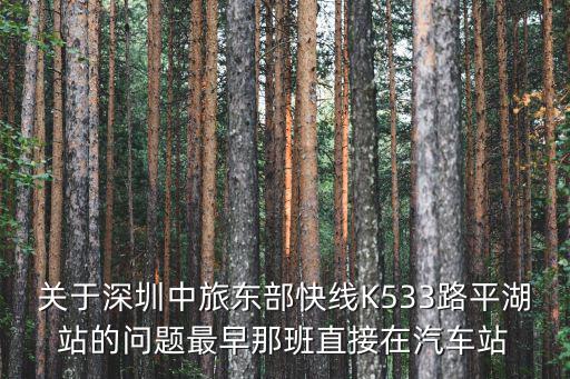 關(guān)于深圳中旅東部快線K533路平湖站的問題最早那班直接在汽車站