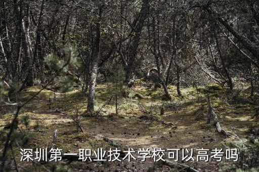 深圳第一職業(yè)技術(shù)學(xué)校可以高考嗎