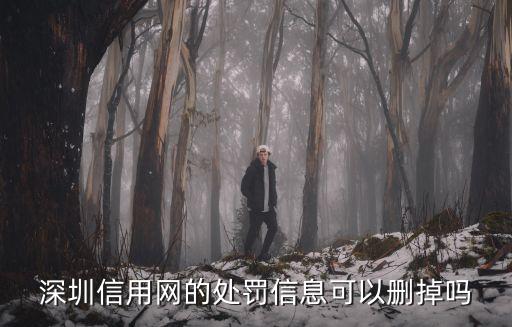 深圳信用網的處罰信息可以刪掉嗎