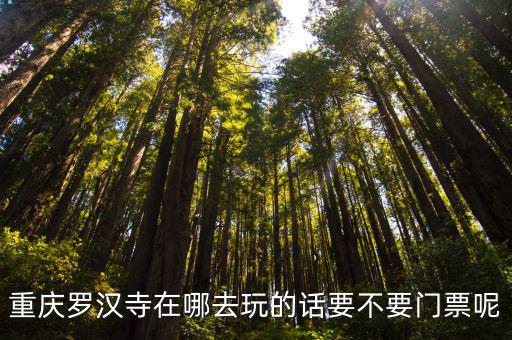 羅漢寺，重慶羅漢寺在哪去玩的話要不要門票呢