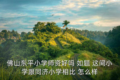 佛山東平小學師資好嗎 如題 這間小學跟同濟小學相比 怎么樣