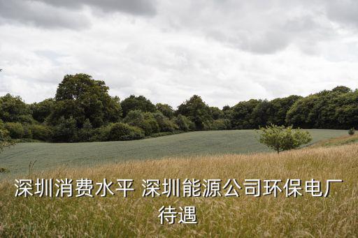 深圳消費水平 深圳能源公司環保電廠待遇