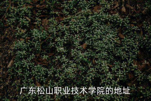 廣東松山職業學院，廣東松山職業技術學院的地址