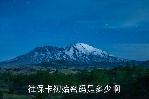 社?？ǔ跏济艽a是多少啊