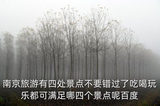 南京旅游有四處景點不要錯過了吃喝玩樂都可滿足哪四個景點呢百度
