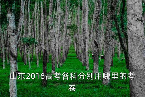 山東2016高考各科分別用哪里的考卷