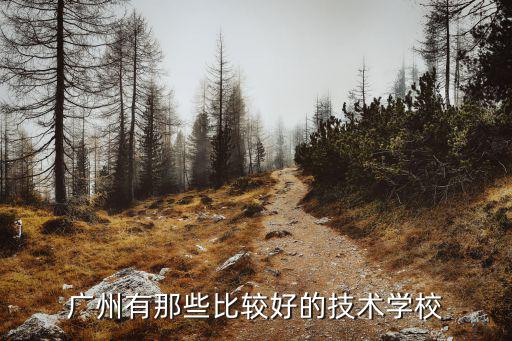 廣東技術學校，廣東省有哪些比較好的技術學校