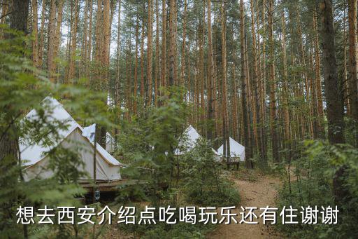 想去西安介紹點吃喝玩樂還有住謝謝
