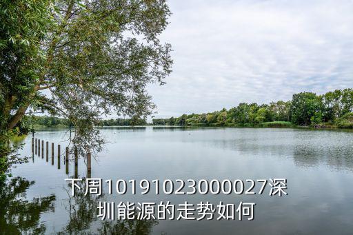 下周10191023000027深圳能源的走勢如何