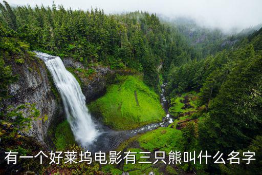 有一個好萊塢電影有三只熊叫什么名字