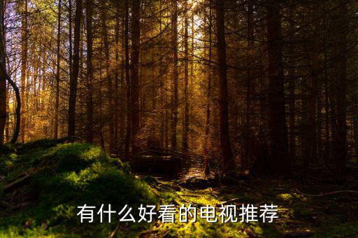 有什么好看的電視推薦