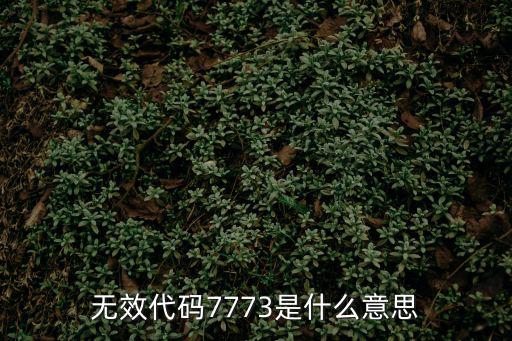 無效代碼7773是什么意思