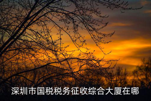 深圳市國稅稅務征收綜合大廈在哪