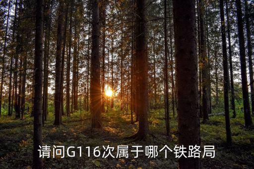 請問G116次屬于哪個鐵路局