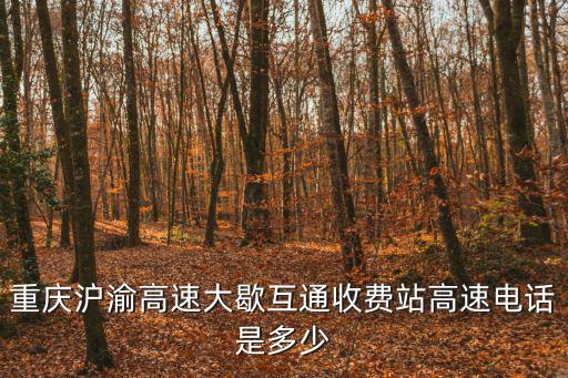 重慶滬渝高速大歇互通收費(fèi)站高速電話是多少